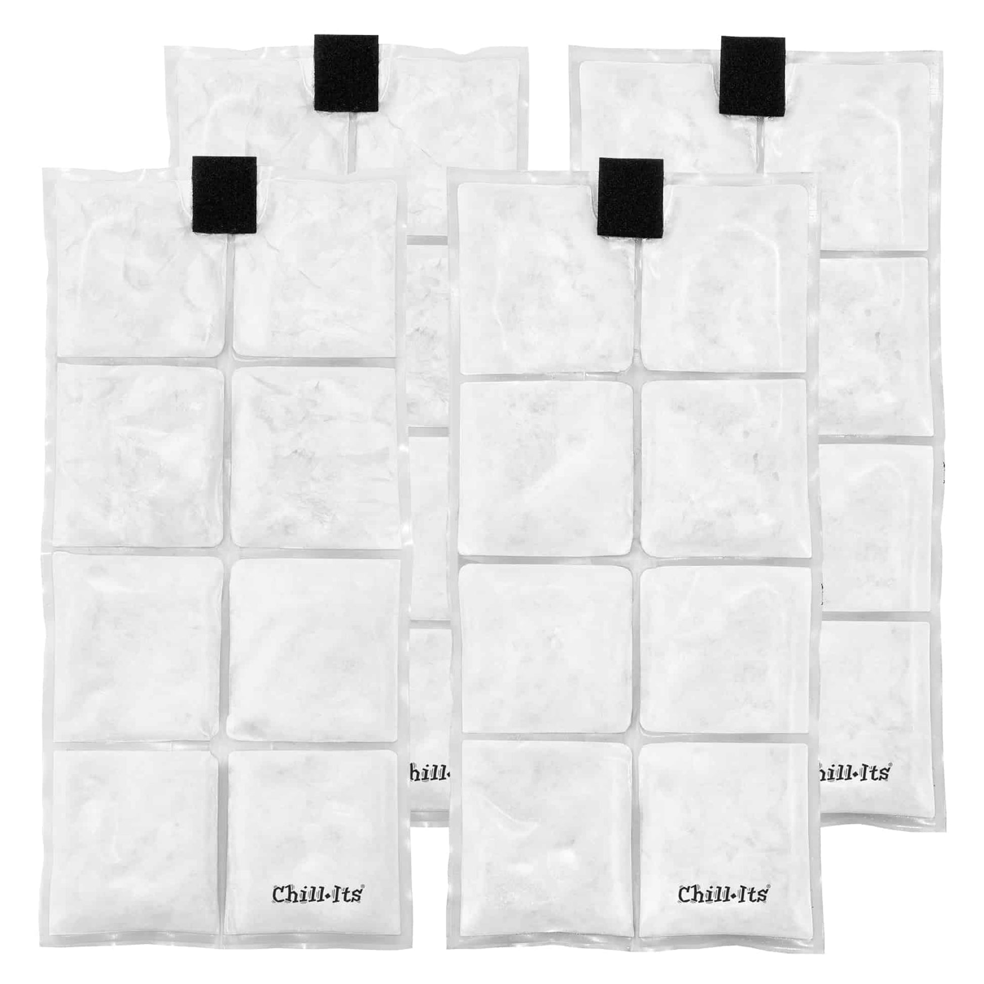 Ergodyne Chill-Its 6250 Rechargeable Phase Change Ice Packs for Lightw ...